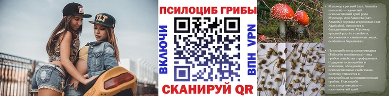 Галлюциногенные грибы мицелий  Купить  Малоархангельск 